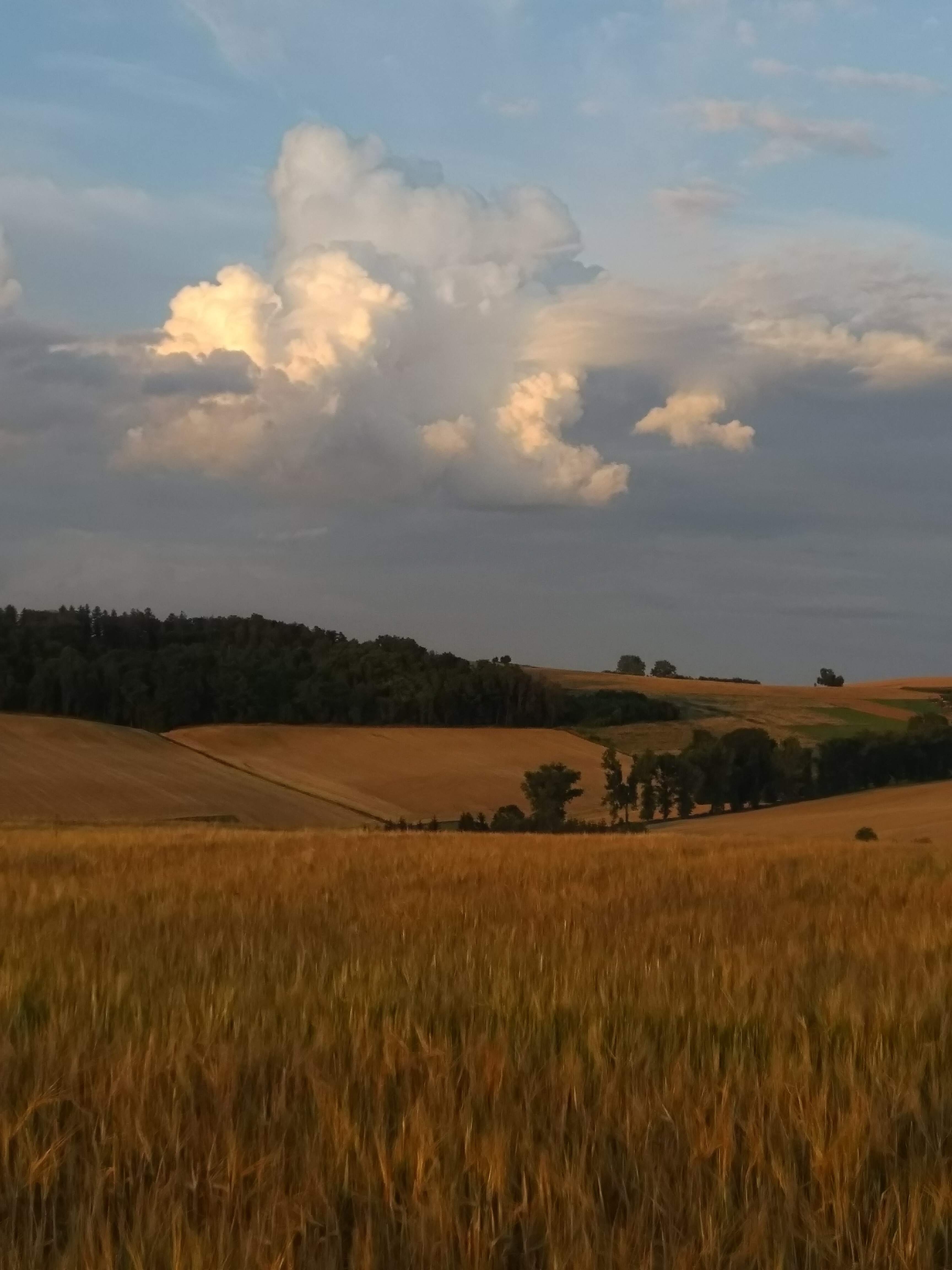 chwila prawdziwego szczęścia
